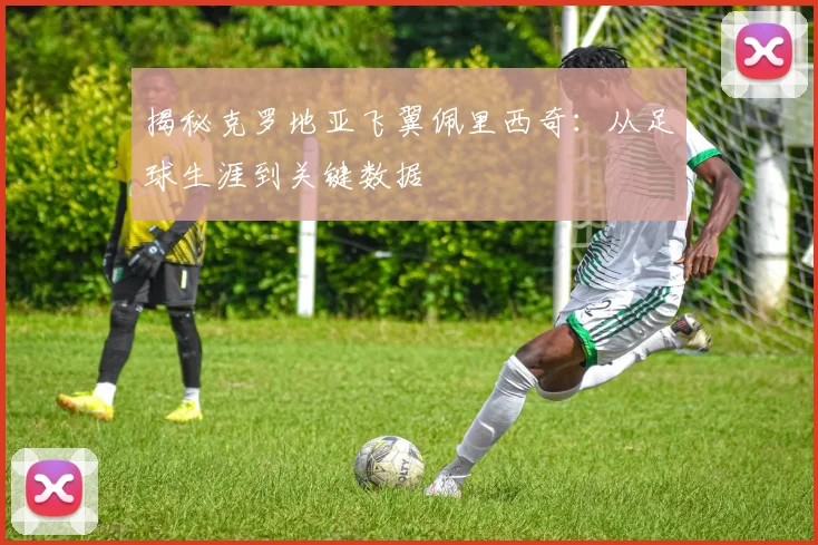 揭秘克罗地亚飞翼佩里西奇：从足球生涯到关键数据
