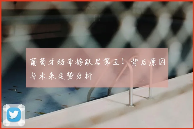 葡萄牙赔率榜跃居第五！背后原因与未来走势分析